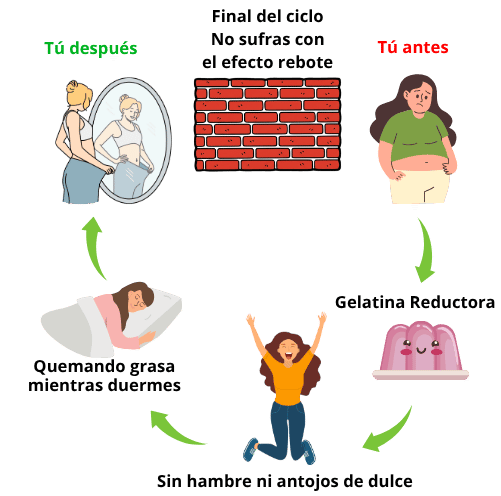 Protocolo Gelatina Reductora
